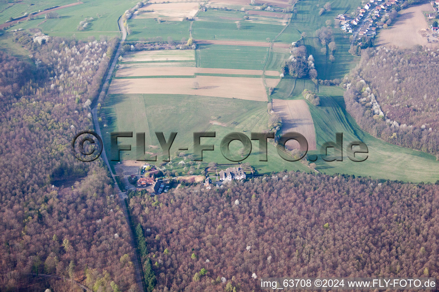 Vue aérienne de Villa Riessack à Niederbronn-les-Bains dans le département Bas Rhin, France