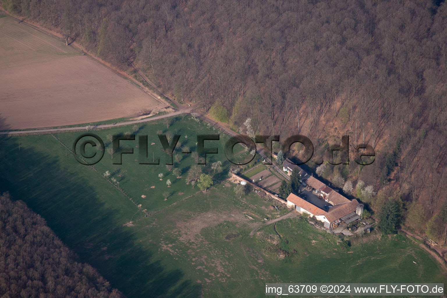 Vue aérienne de Villa Riessack à Niederbronn-les-Bains dans le département Bas Rhin, France