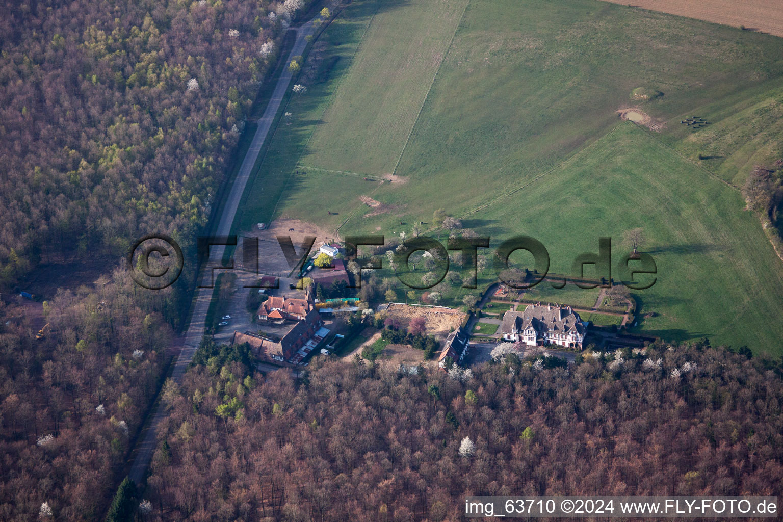 Photographie aérienne de Villa Riessack à Niederbronn-les-Bains dans le département Bas Rhin, France