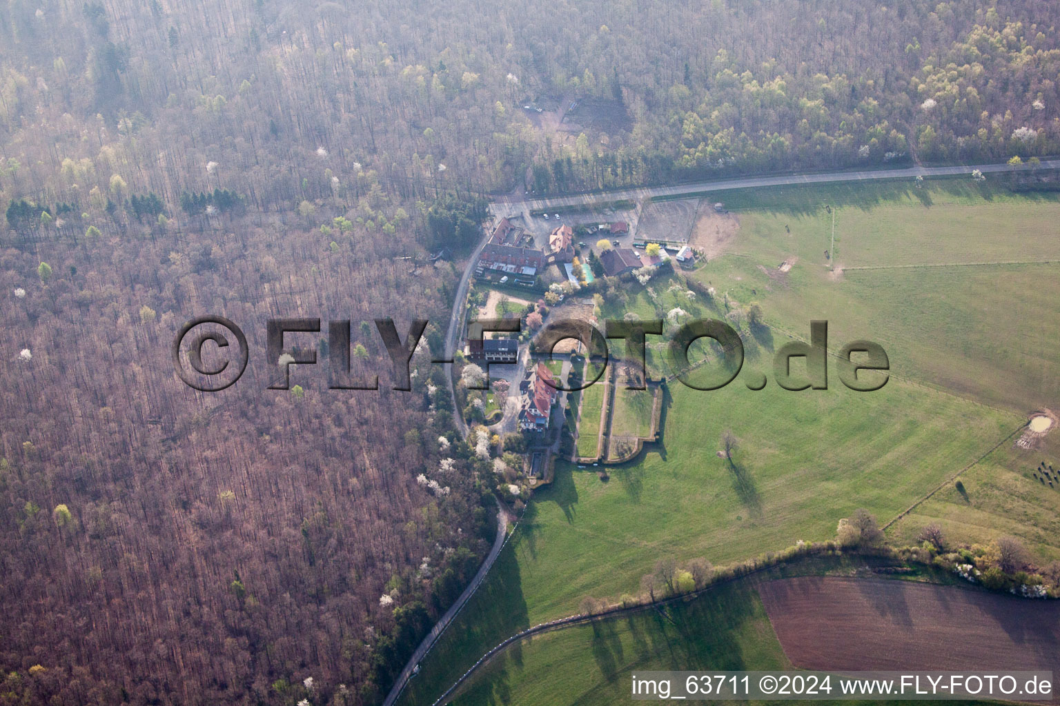 Vue oblique de Villa Riessack à Niederbronn-les-Bains dans le département Bas Rhin, France