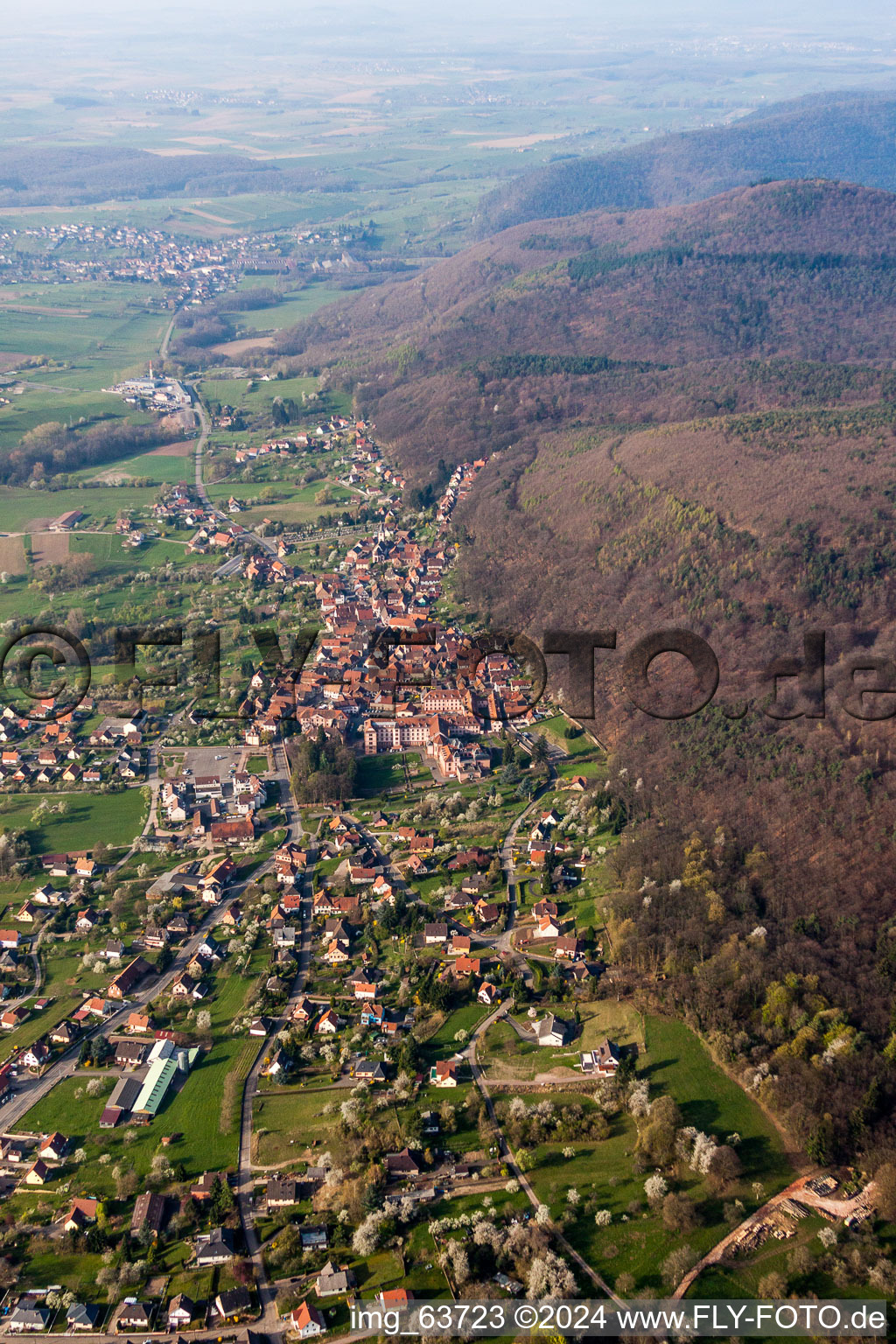 Vue aérienne de Vue des rues et des maisons des quartiers résidentiels à Oberbronn dans le département Bas Rhin, France