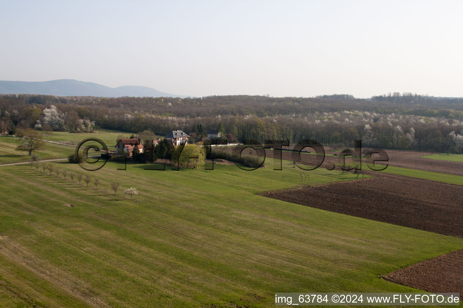 Vue aérienne de Favori à Gunstett dans le département Bas Rhin, France