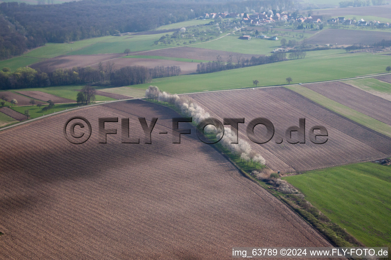 Vue oblique de Surbourg dans le département Bas Rhin, France