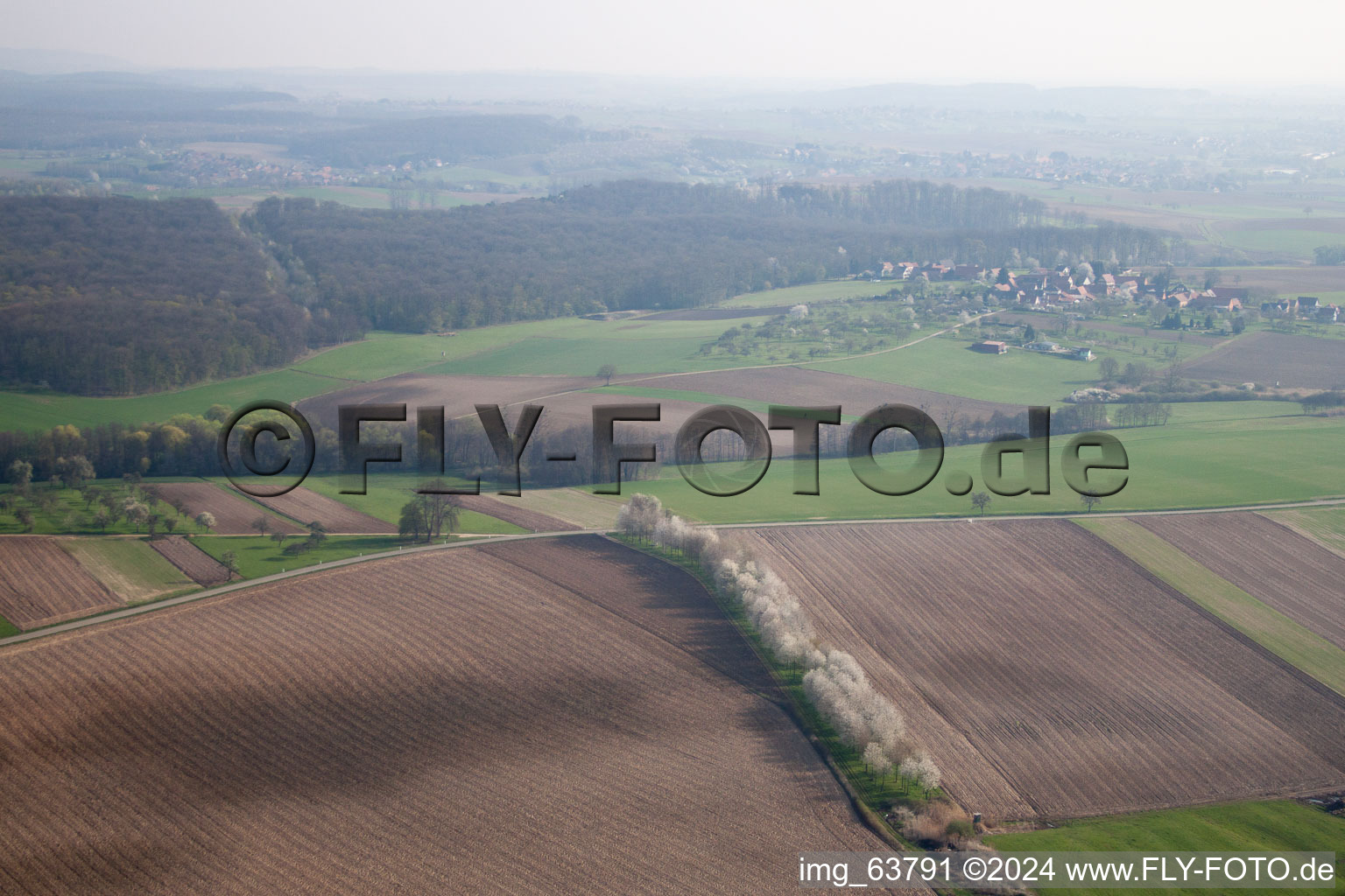 Surbourg dans le département Bas Rhin, France d'en haut