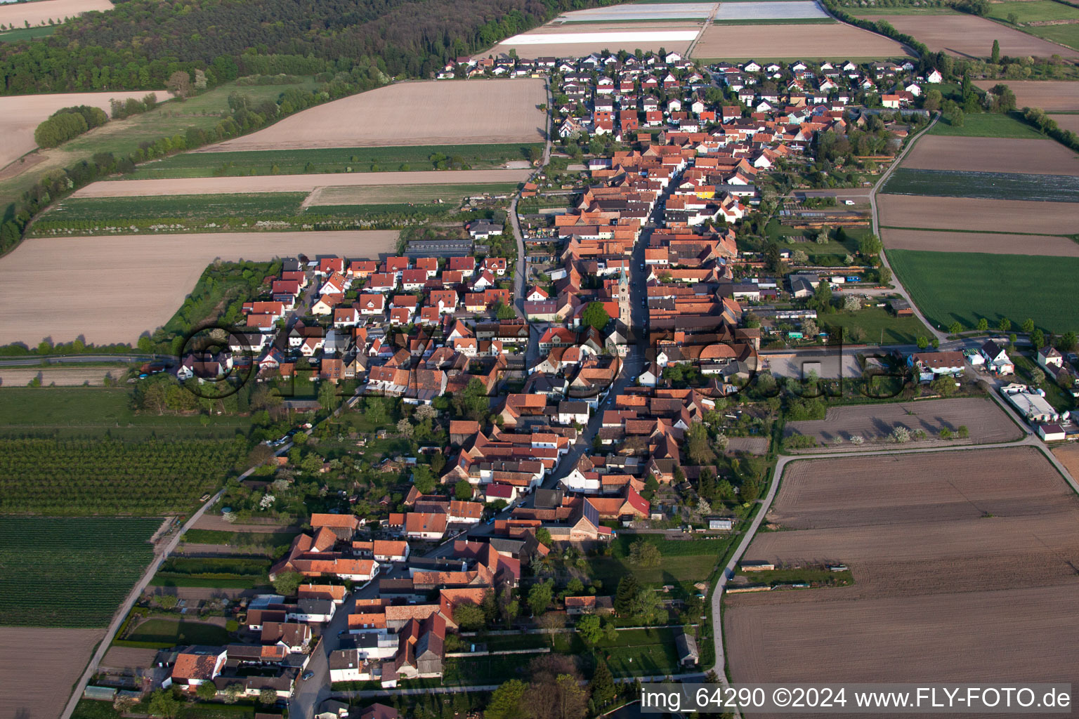 Photographie aérienne de De l'ouest à Erlenbach bei Kandel dans le département Rhénanie-Palatinat, Allemagne