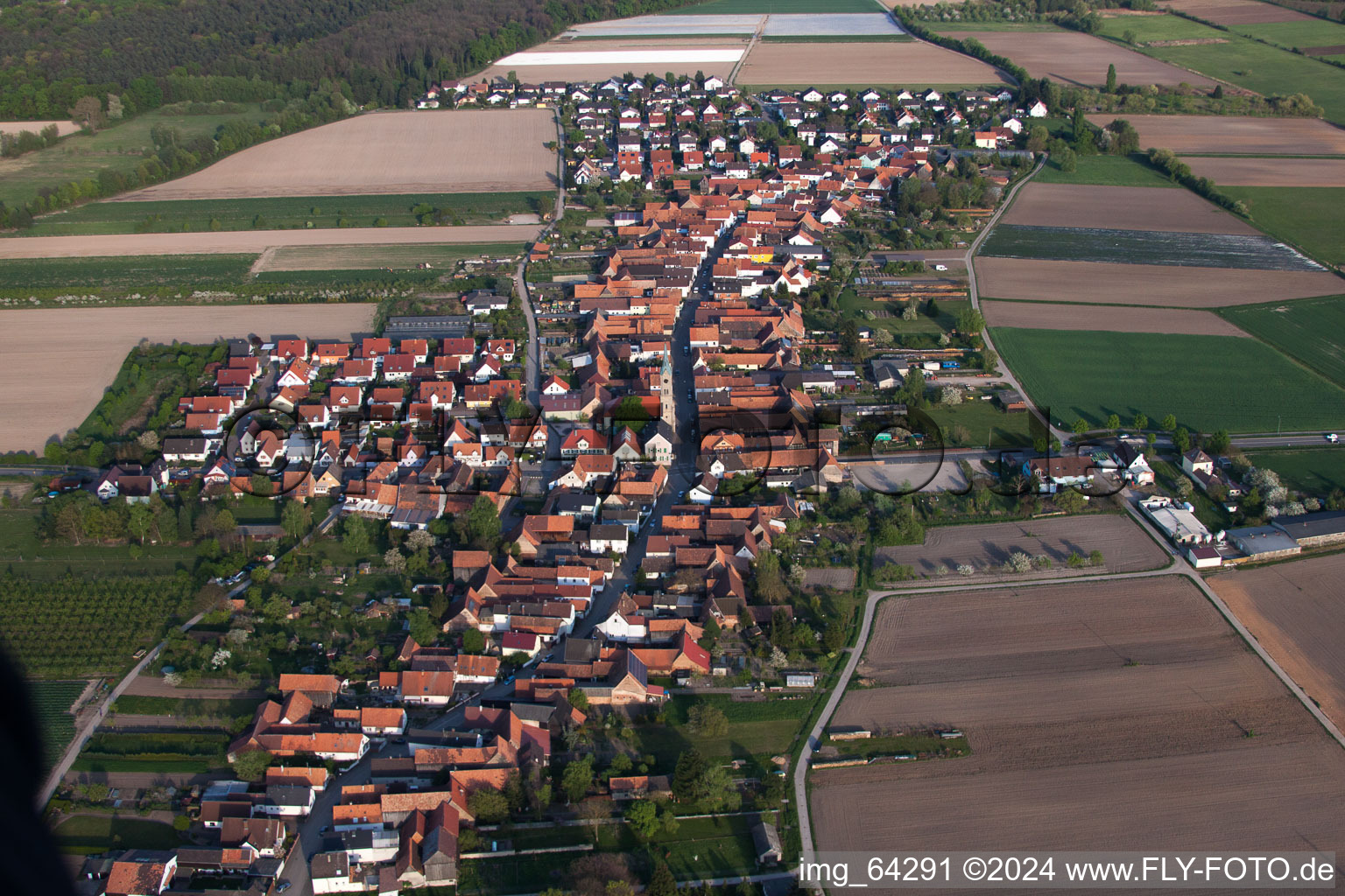 Vue oblique de De l'ouest à Erlenbach bei Kandel dans le département Rhénanie-Palatinat, Allemagne