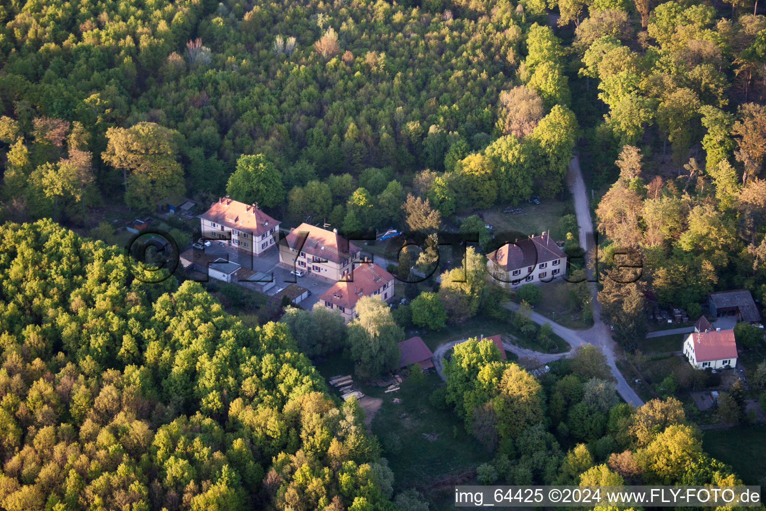 Scheibenhardt dans le département Rhénanie-Palatinat, Allemagne du point de vue du drone