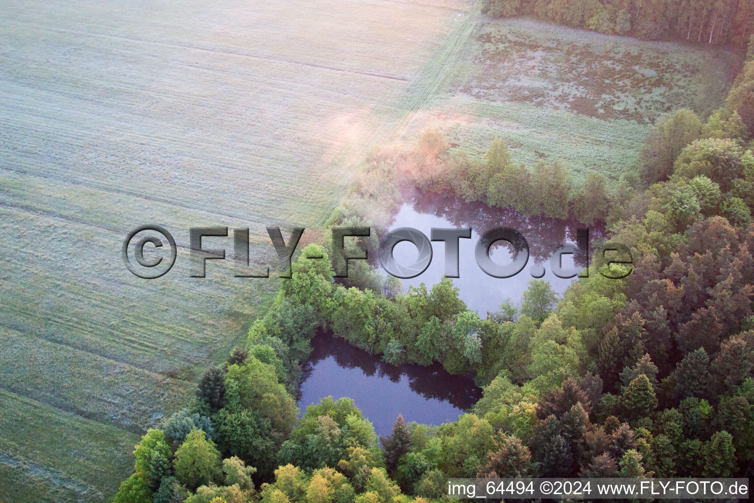 Vue oblique de Vallée d'Otterbachtal à Minfeld dans le département Rhénanie-Palatinat, Allemagne