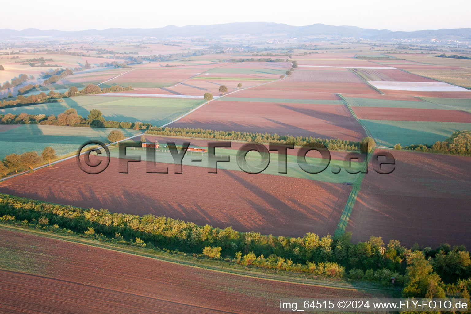 Photographie aérienne de Aérodrome modèle à Freckenfeld dans le département Rhénanie-Palatinat, Allemagne