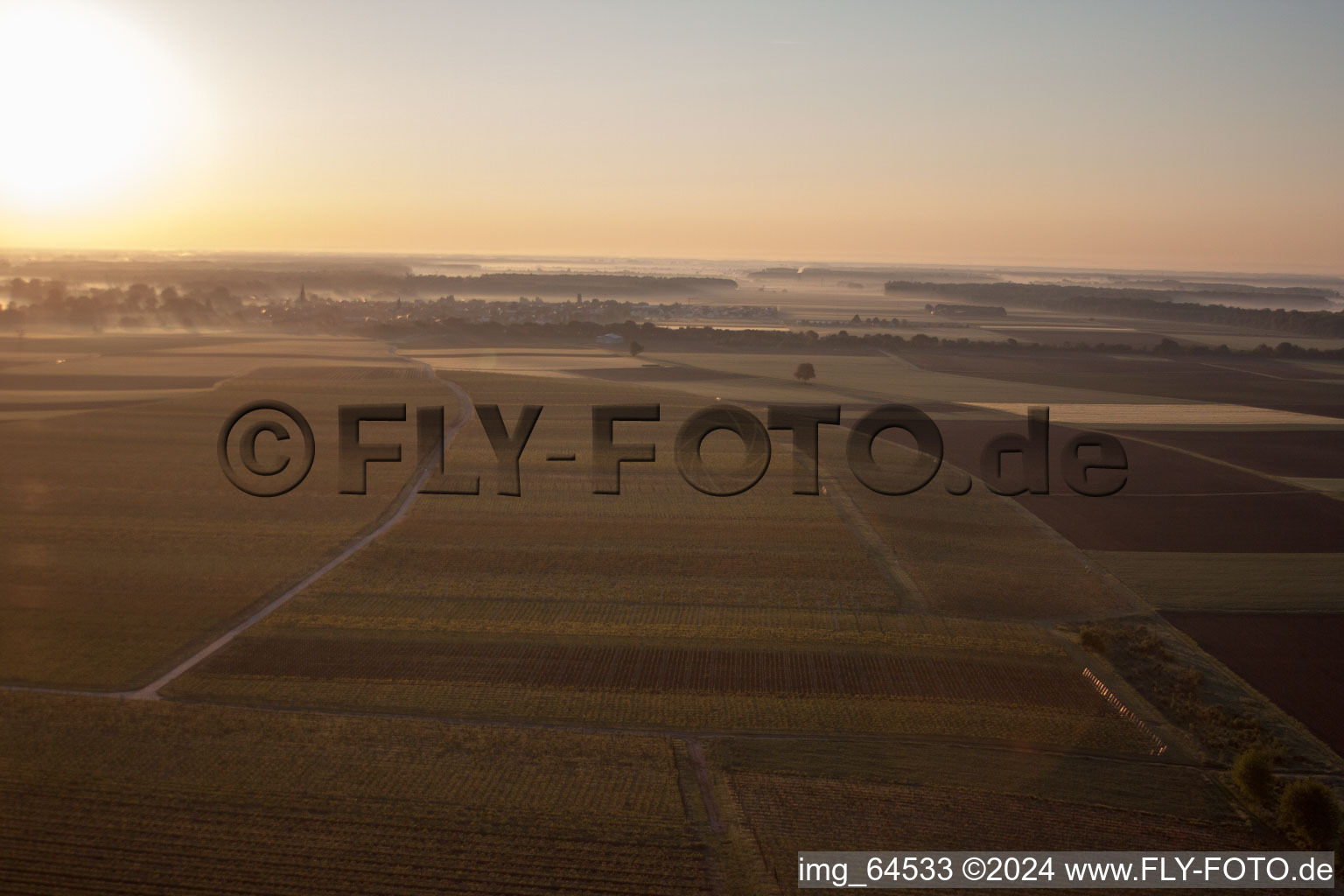 Quartier Mühlhofen in Billigheim-Ingenheim dans le département Rhénanie-Palatinat, Allemagne vue d'en haut