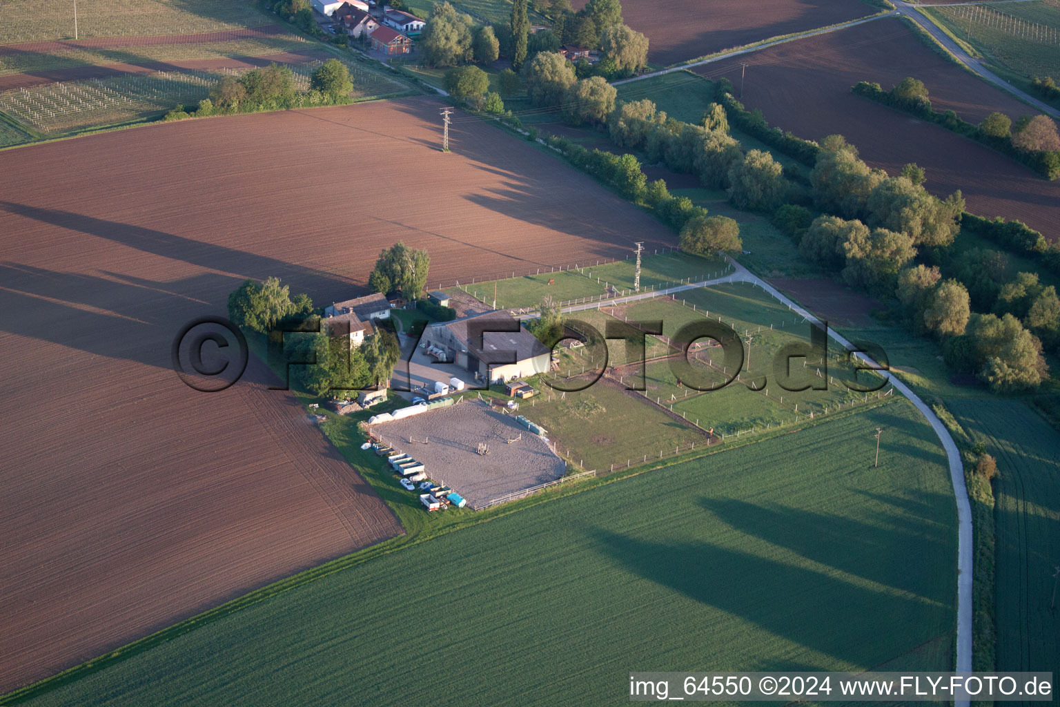 Photographie aérienne de Impflingen dans le département Rhénanie-Palatinat, Allemagne