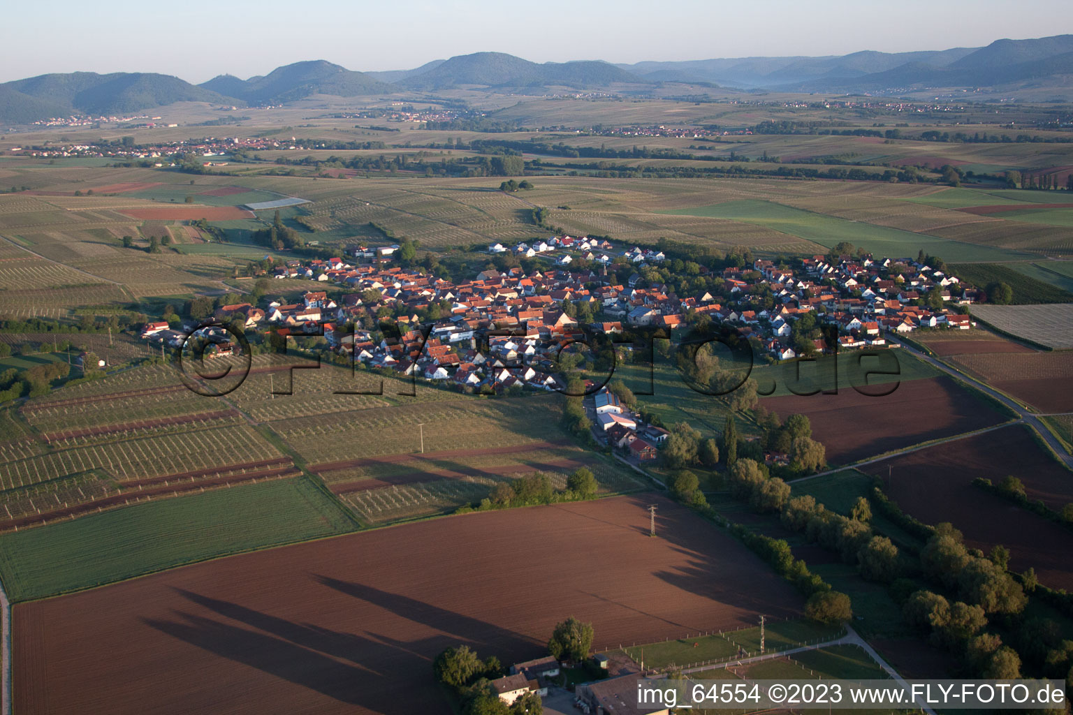 Impflingen dans le département Rhénanie-Palatinat, Allemagne hors des airs
