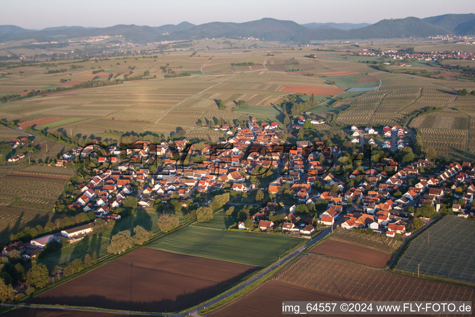 Vue d'oiseau de Impflingen dans le département Rhénanie-Palatinat, Allemagne