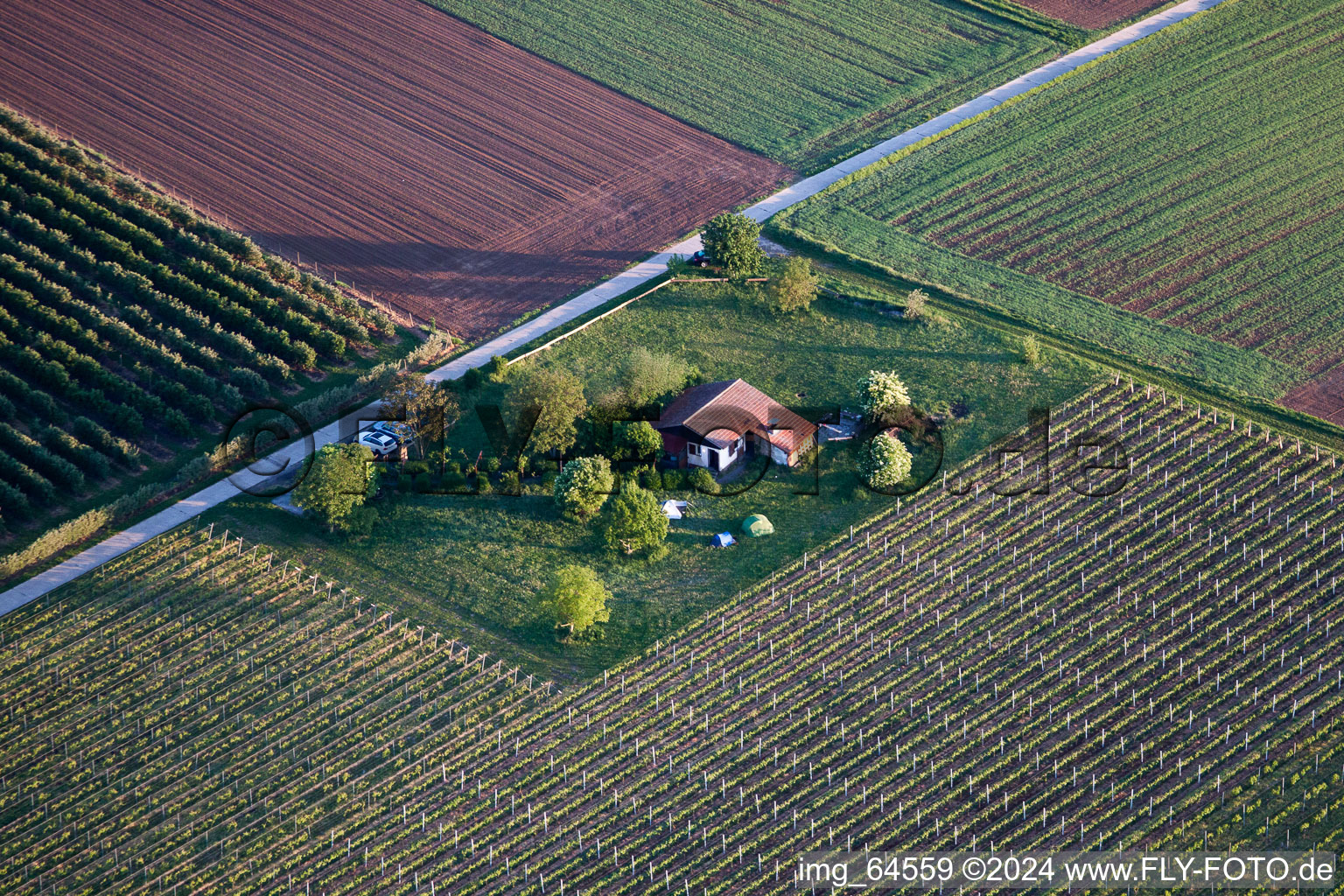 Enregistrement par drone de Impflingen dans le département Rhénanie-Palatinat, Allemagne