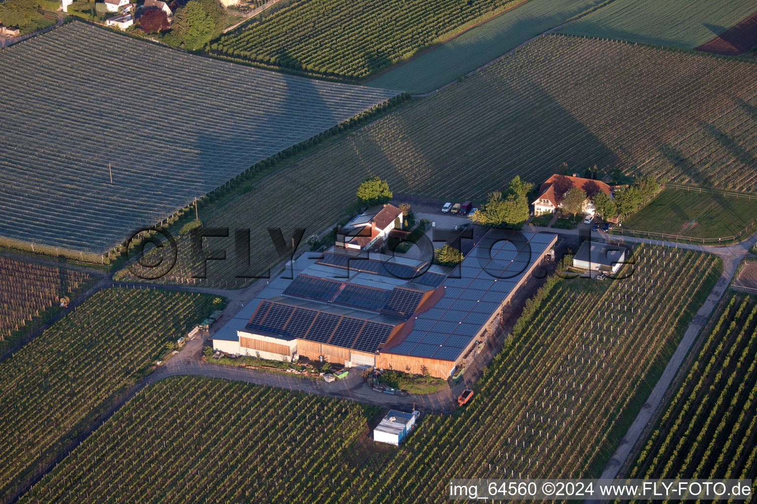 Image drone de Impflingen dans le département Rhénanie-Palatinat, Allemagne