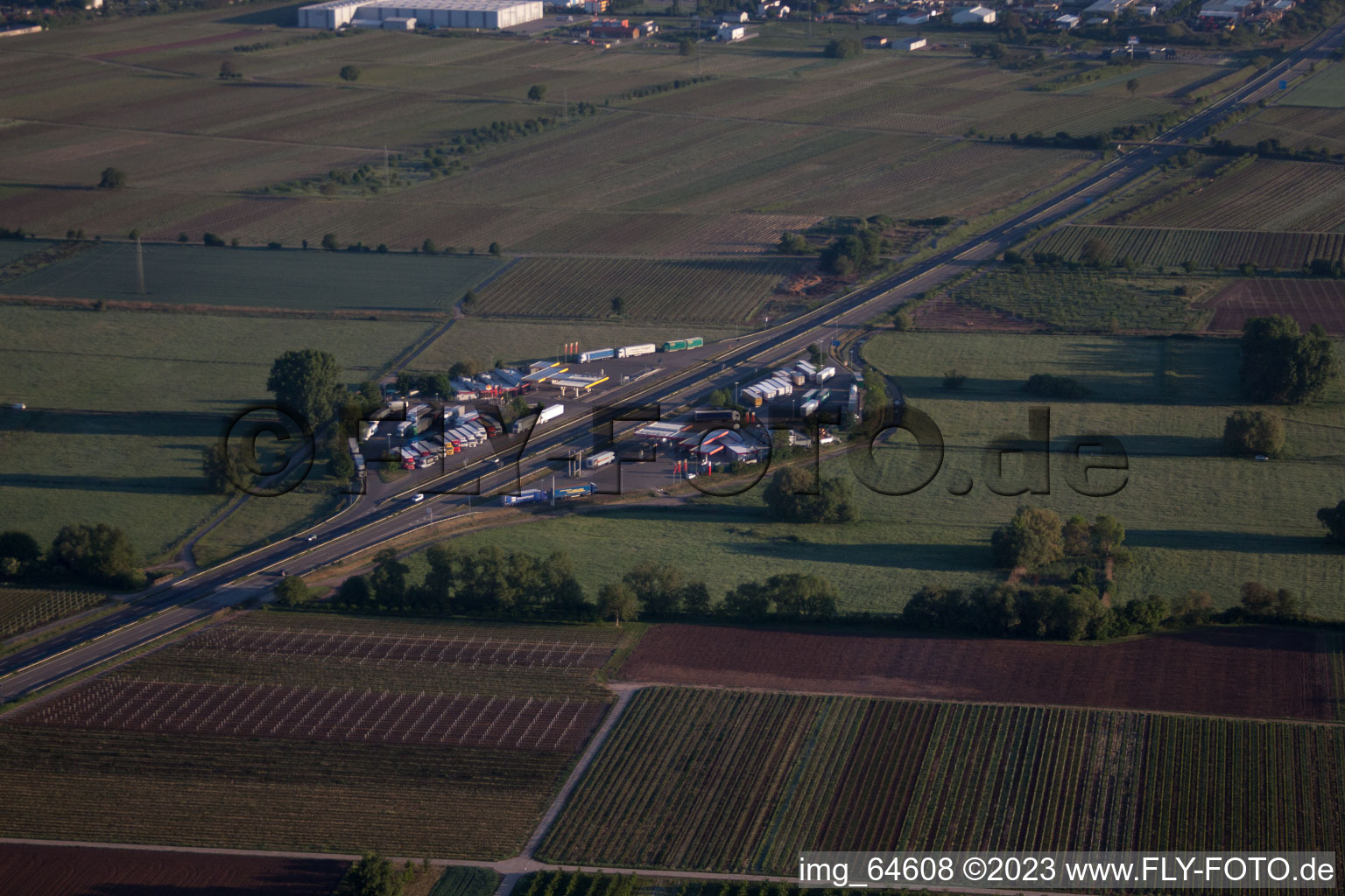 Edenkoben dans le département Rhénanie-Palatinat, Allemagne depuis l'avion