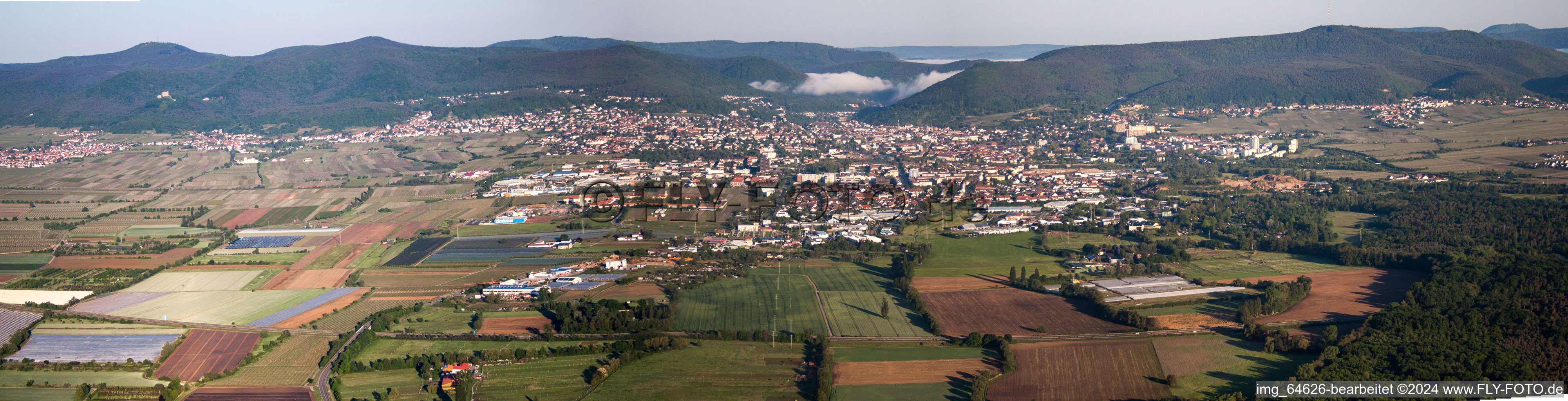 Vue aérienne de Panorama avec brouillard matinal de la région et des environs à Neustadt an der Weinstraße dans le département Rhénanie-Palatinat, Allemagne