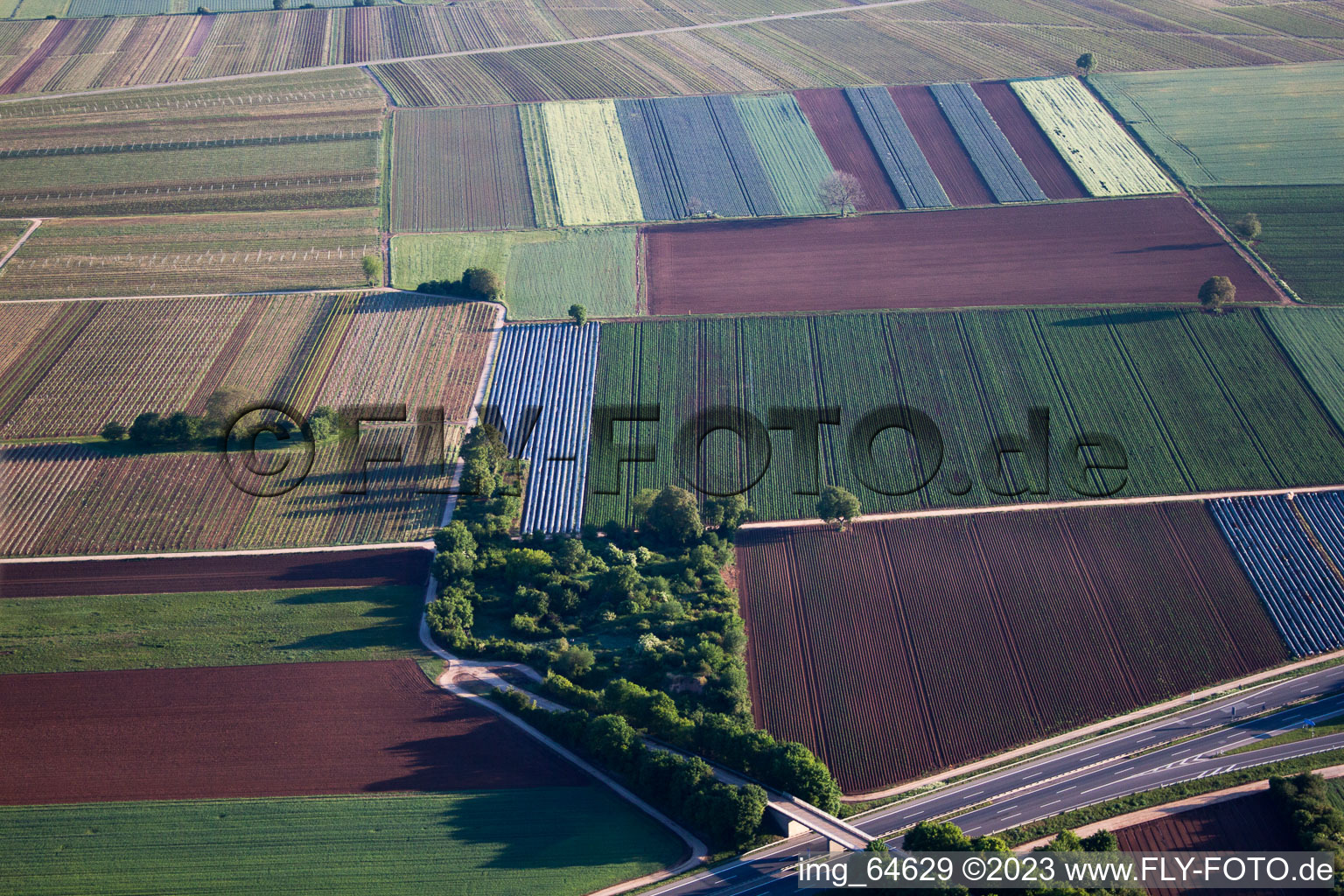 Quartier Mußbach in Neustadt an der Weinstraße dans le département Rhénanie-Palatinat, Allemagne du point de vue du drone