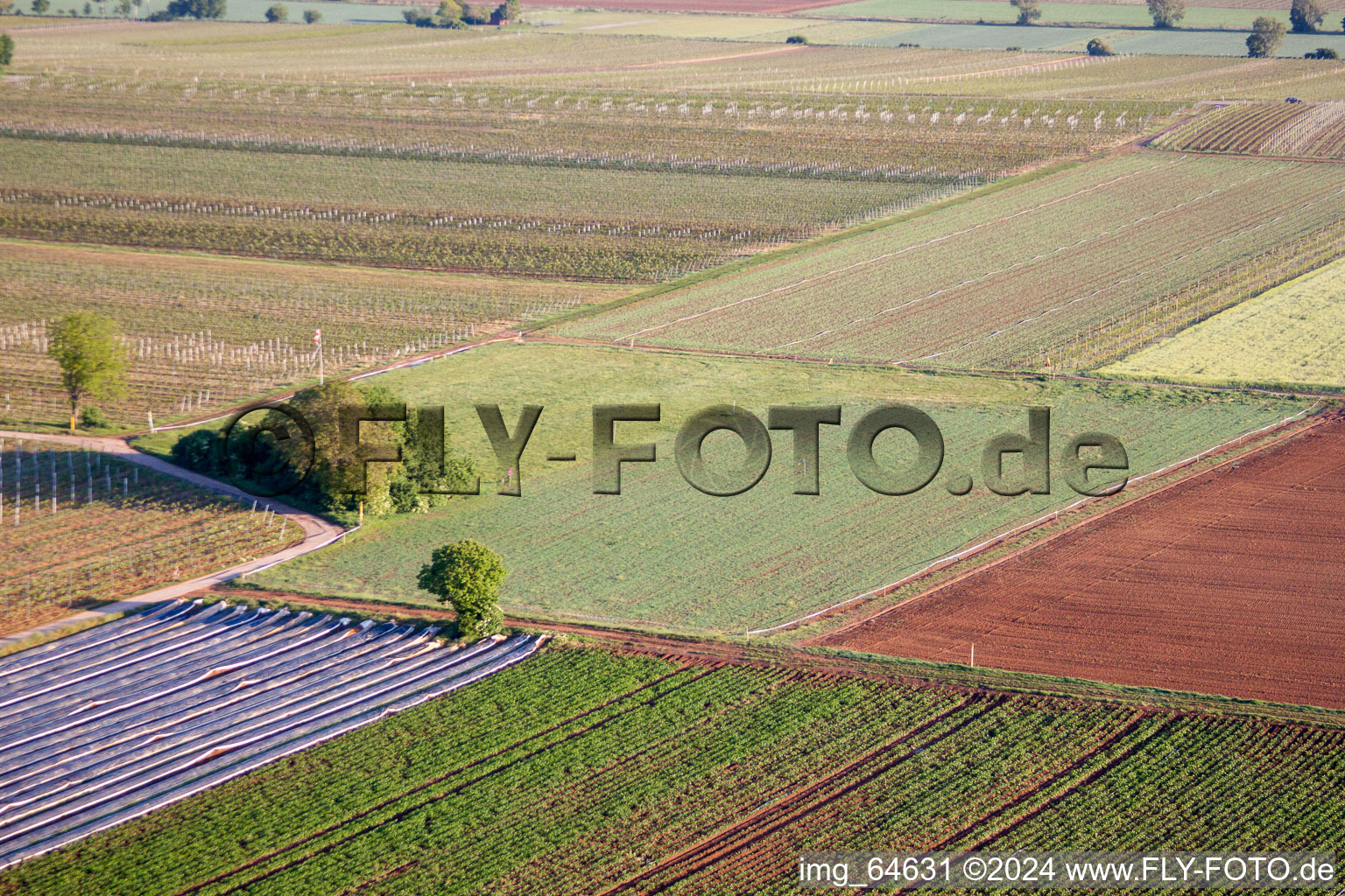 Vue aérienne de Point de départ des Amis Paramoteurs du Palatinat à Meckenheim dans le département Rhénanie-Palatinat, Allemagne