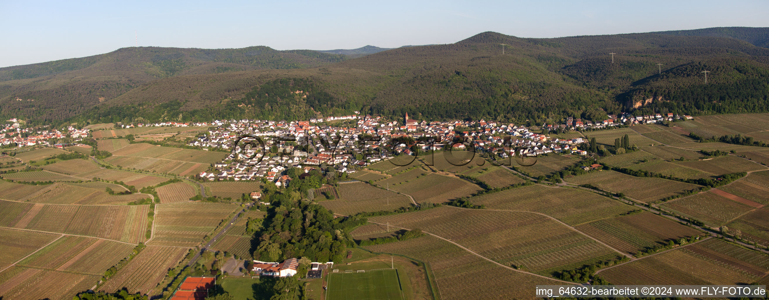 Vue aérienne de Panorama - perspective des vignobles du Haardtrand de la forêt du Palatinat à le quartier Königsbach in Neustadt an der Weinstraße dans le département Rhénanie-Palatinat, Allemagne