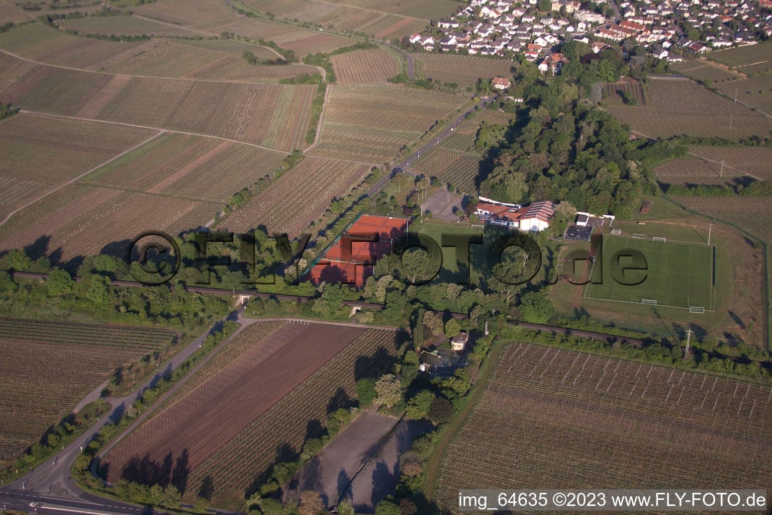 Vue aérienne de Centre sportif, communauté de tennis Hildebrandseck THG à le quartier Königsbach in Neustadt an der Weinstraße dans le département Rhénanie-Palatinat, Allemagne