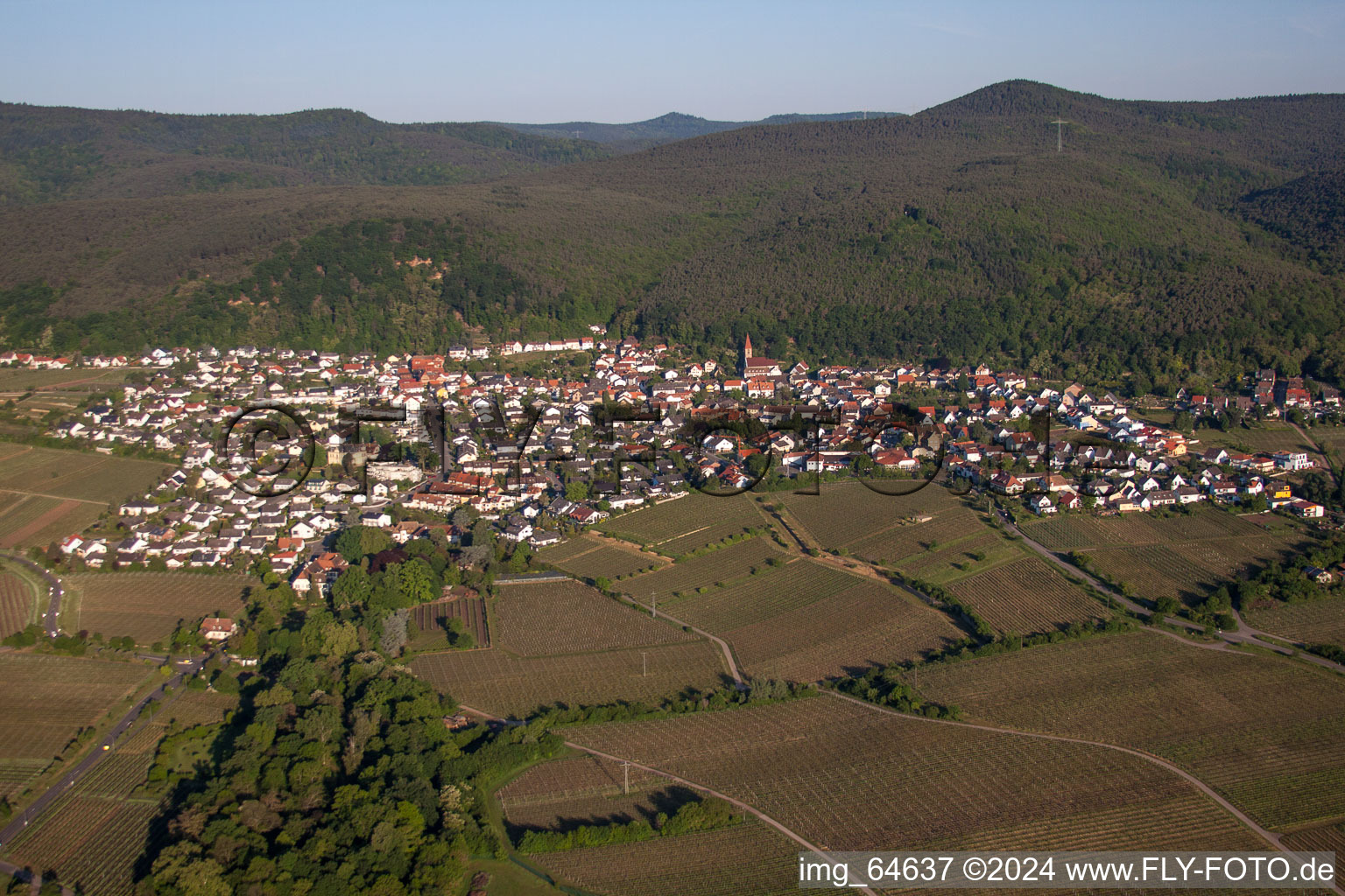 Photographie aérienne de Vignobles sur le Haardtrand de la forêt du Palatinat à le quartier Königsbach in Neustadt an der Weinstraße dans le département Rhénanie-Palatinat, Allemagne