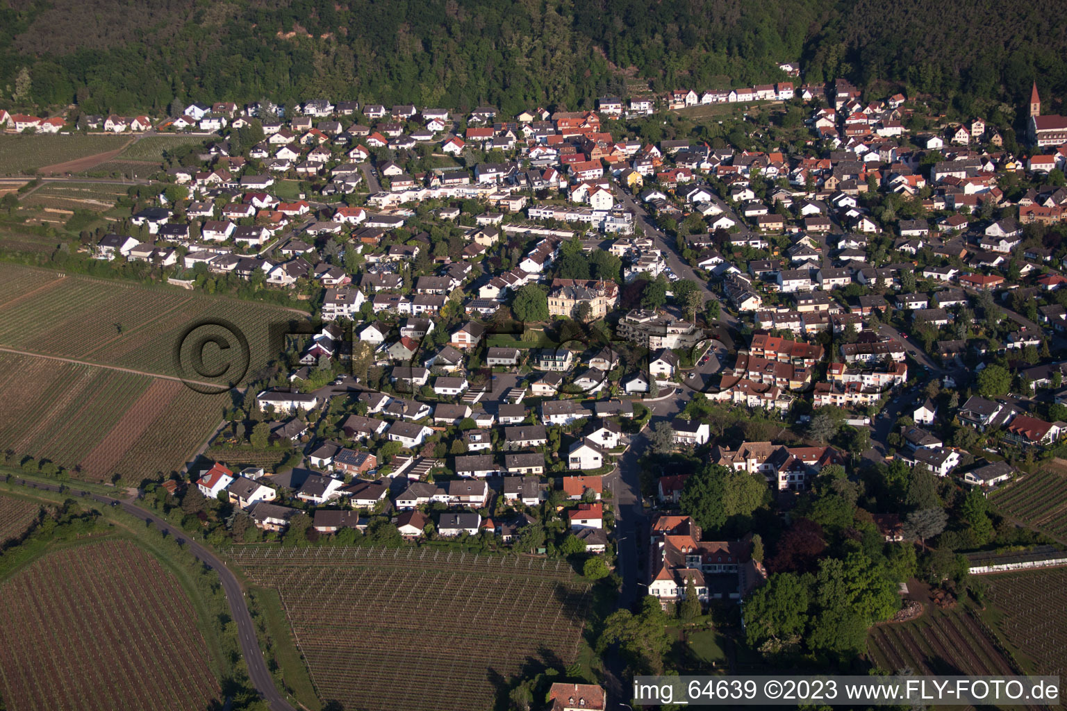 Vue d'oiseau de Quartier Königsbach in Neustadt an der Weinstraße dans le département Rhénanie-Palatinat, Allemagne