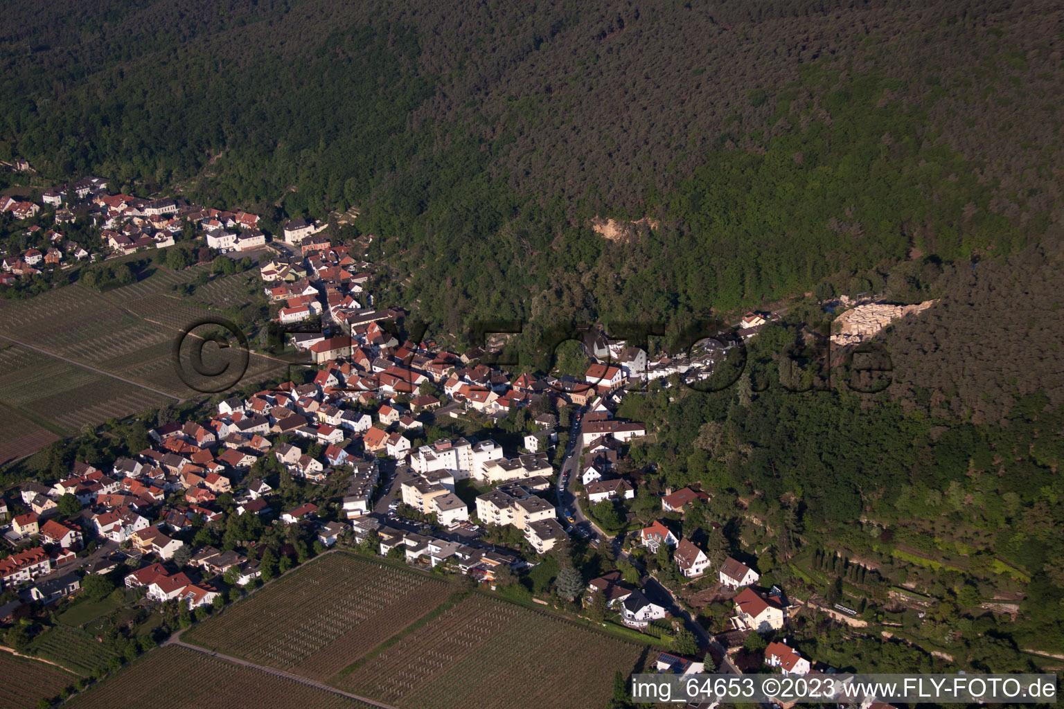 Vue aérienne de Le d. Altart à le quartier Haardt in Neustadt an der Weinstraße dans le département Rhénanie-Palatinat, Allemagne