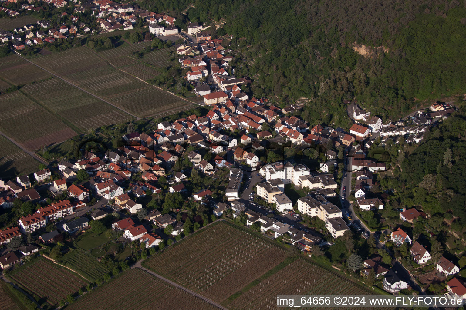 Vue aérienne de Vue sur le village à le quartier Haardt in Neustadt an der Weinstraße dans le département Rhénanie-Palatinat, Allemagne