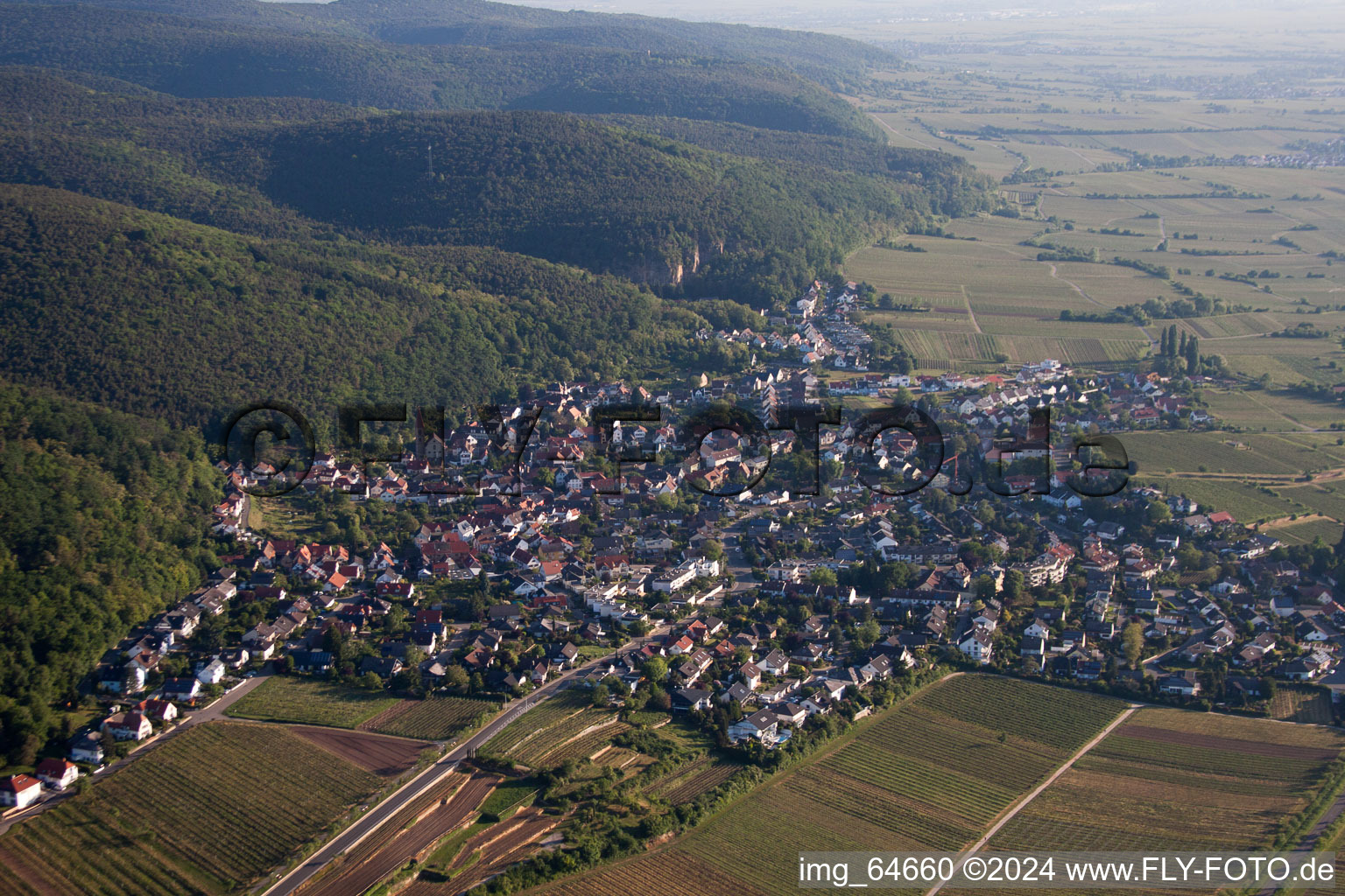 Vue aérienne de Champs agricoles et surfaces utilisables à le quartier Haardt in Neustadt an der Weinstraße dans le département Rhénanie-Palatinat, Allemagne