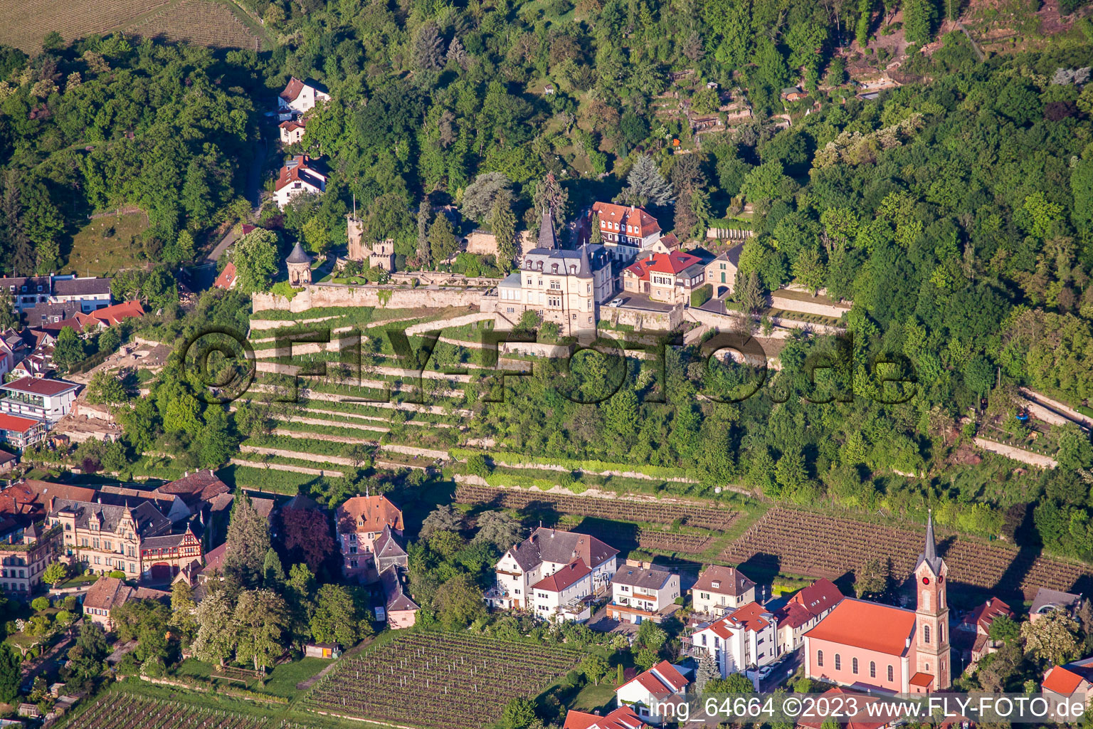 Vue aérienne de Château de Winzing et Haardter Schlössel à Neustadt an der Weinstraße dans le département Rhénanie-Palatinat, Allemagne