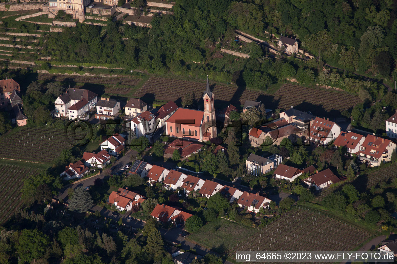 Vue aérienne de Sur la route des vins à le quartier Haardt in Neustadt an der Weinstraße dans le département Rhénanie-Palatinat, Allemagne