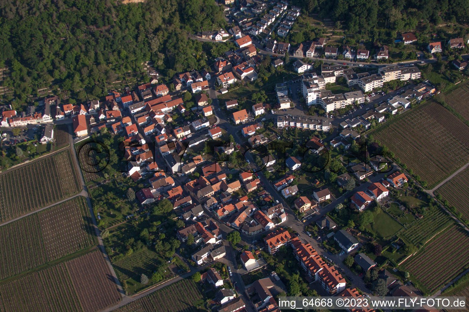 Photographie aérienne de Bague en amande à le quartier Haardt in Neustadt an der Weinstraße dans le département Rhénanie-Palatinat, Allemagne