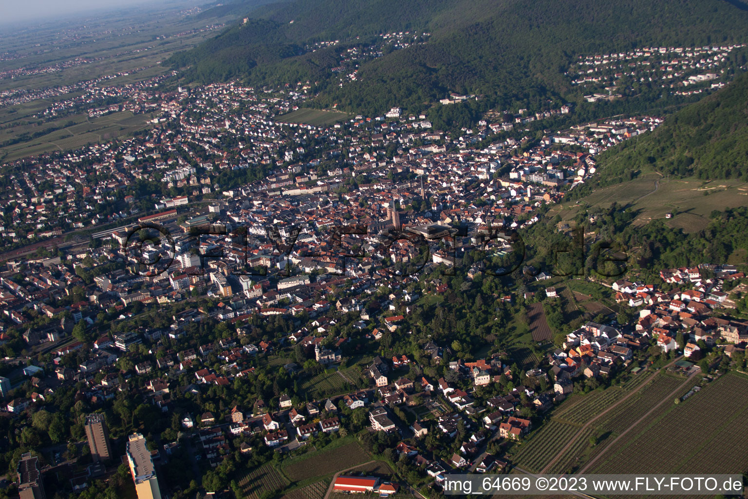 Neustadt an der Weinstraße dans le département Rhénanie-Palatinat, Allemagne du point de vue du drone