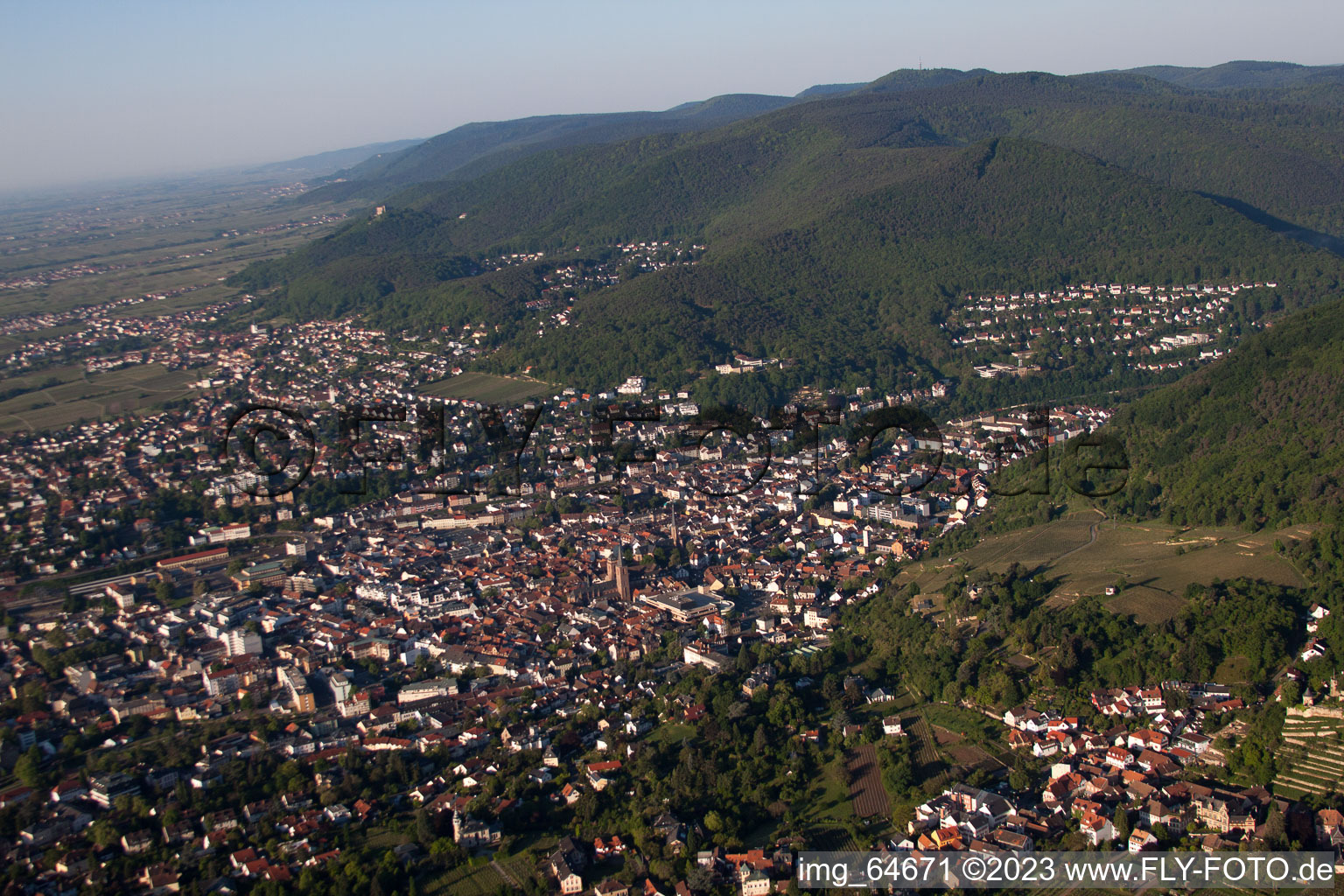 Neustadt an der Weinstraße dans le département Rhénanie-Palatinat, Allemagne vu d'un drone