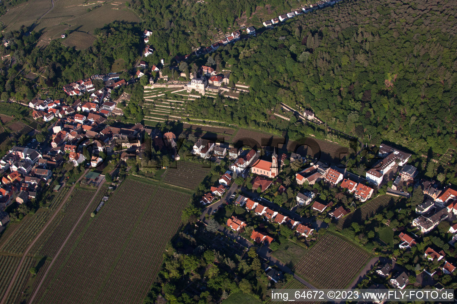 Vue aérienne de Château de Winzing et Haardter Schlössel à Neustadt an der Weinstraße dans le département Rhénanie-Palatinat, Allemagne