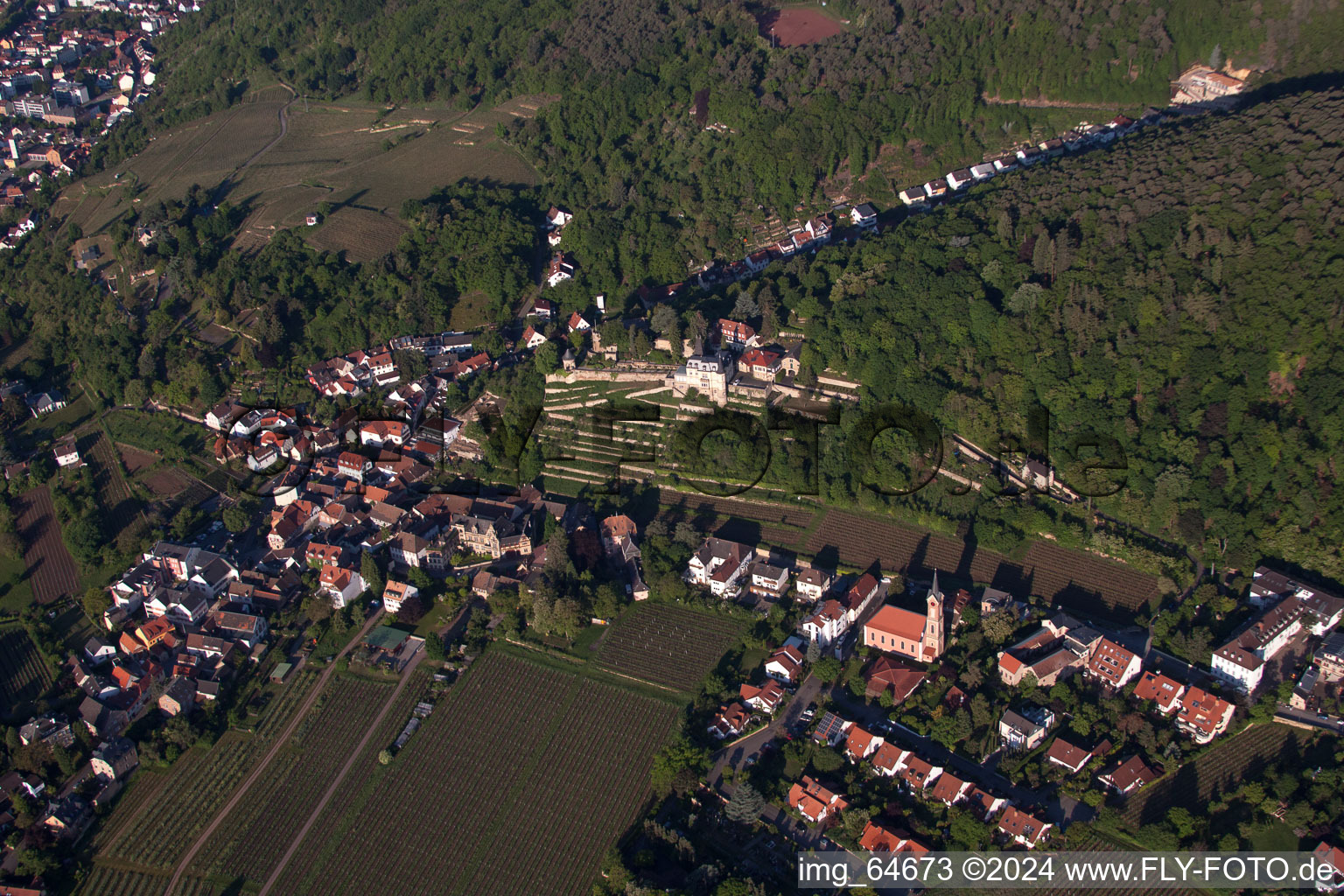 Vue aérienne de Haardt sur la route des vins à Neustadt an der Weinstraße dans le département Rhénanie-Palatinat, Allemagne