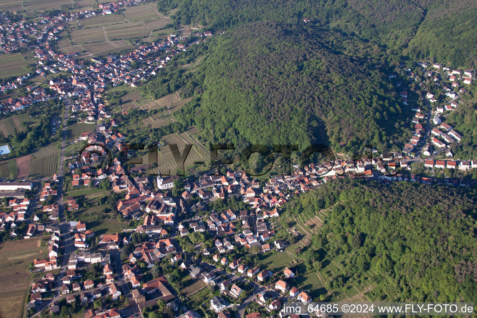 Photographie aérienne de Vignobles dans le quartier de Hambach à le quartier Hambach an der Weinstraße in Neustadt an der Weinstraße dans le département Rhénanie-Palatinat, Allemagne