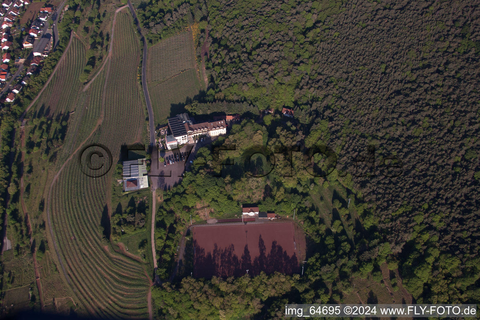 Sankt Martin dans le département Rhénanie-Palatinat, Allemagne vue d'en haut