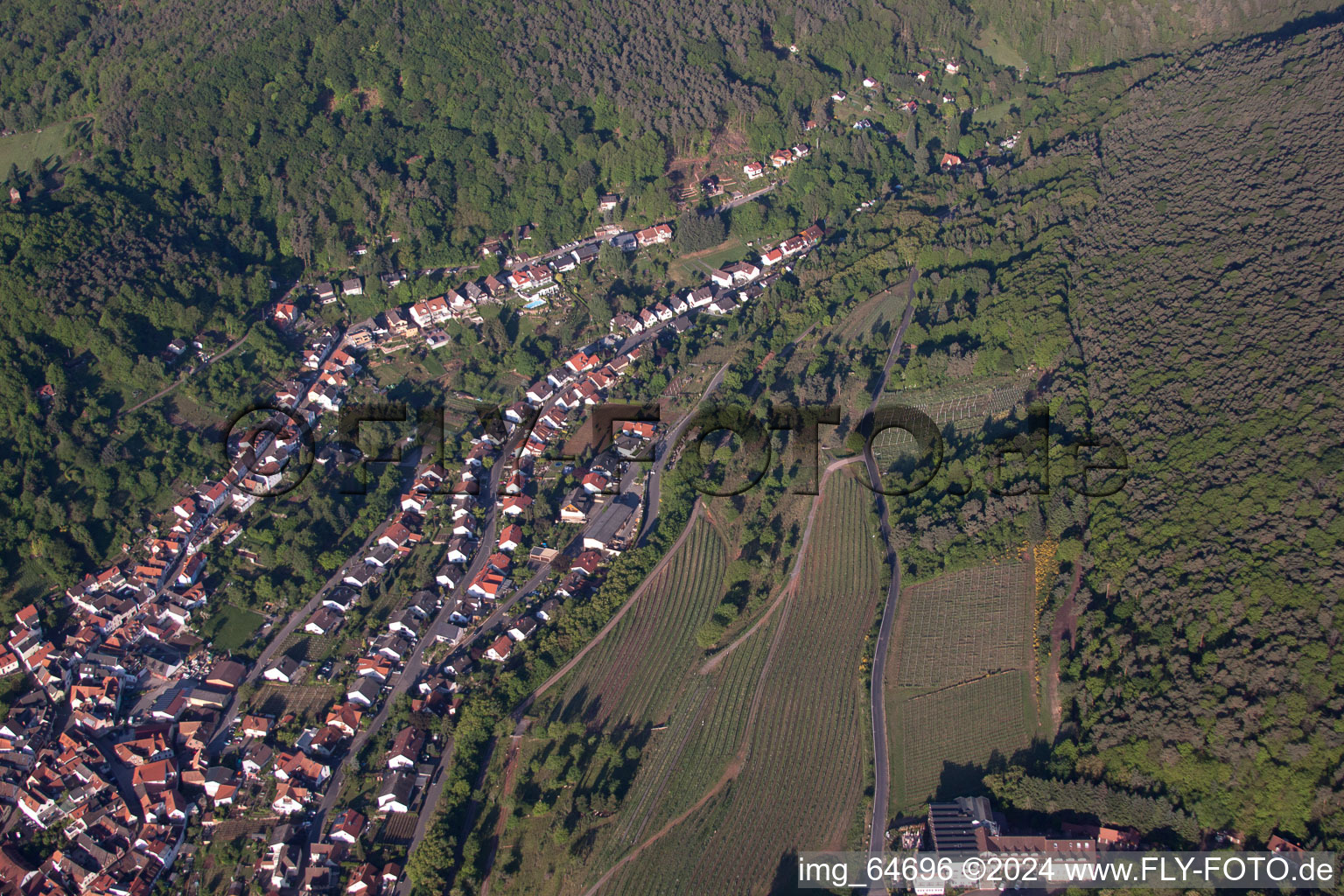 Sankt Martin dans le département Rhénanie-Palatinat, Allemagne depuis l'avion