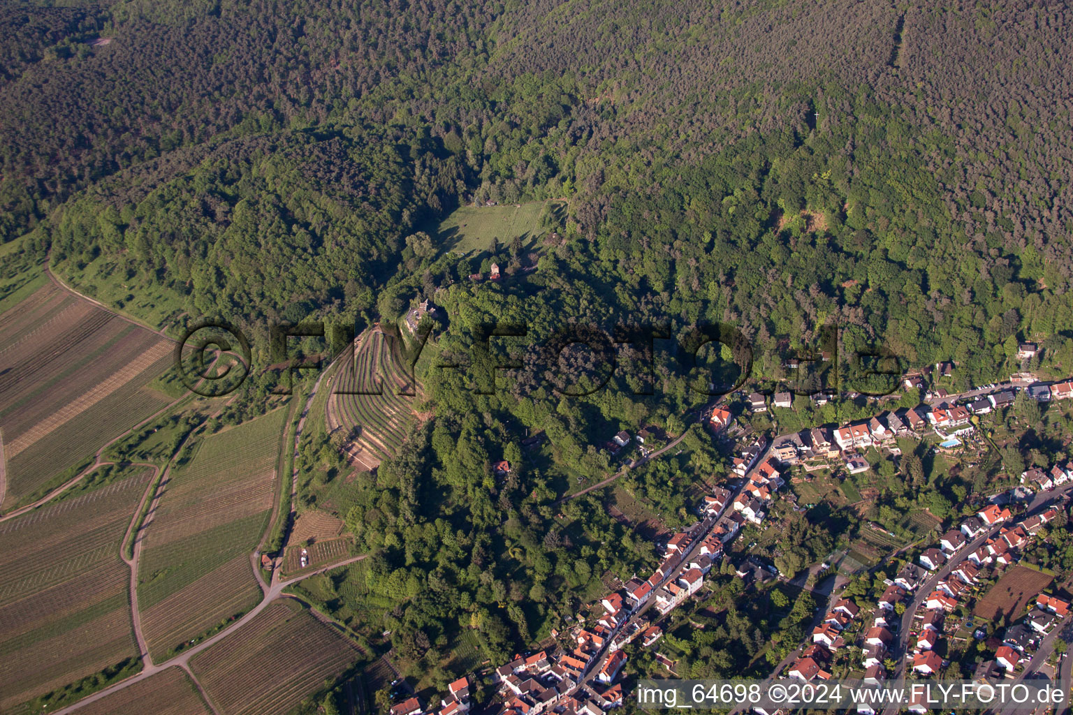 Vue d'oiseau de Sankt Martin dans le département Rhénanie-Palatinat, Allemagne