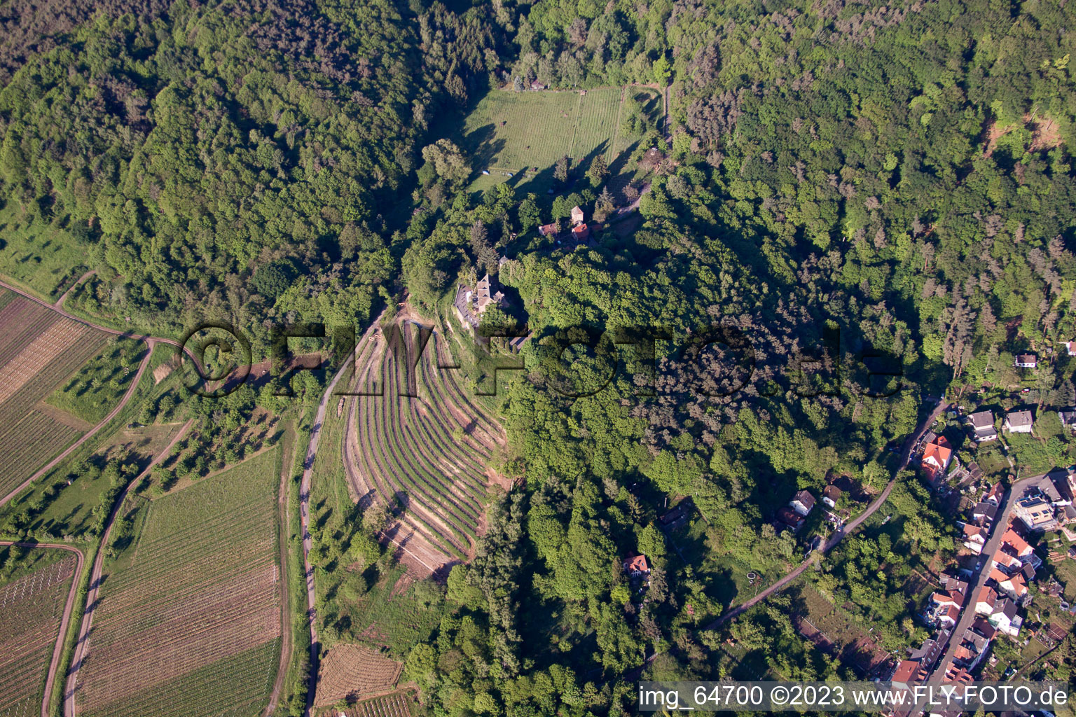 Sankt Martin dans le département Rhénanie-Palatinat, Allemagne d'un drone