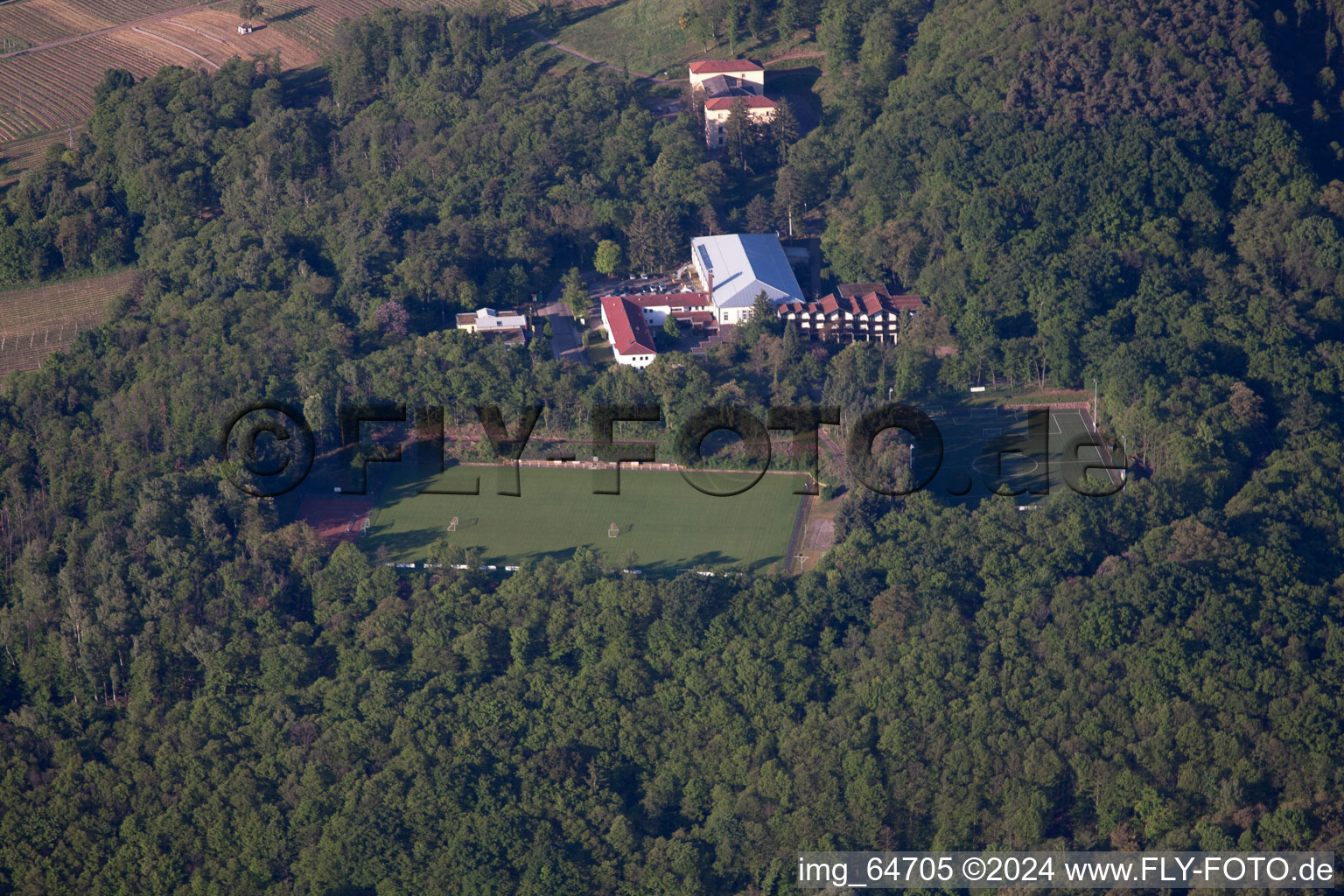 Sankt Martin dans le département Rhénanie-Palatinat, Allemagne du point de vue du drone