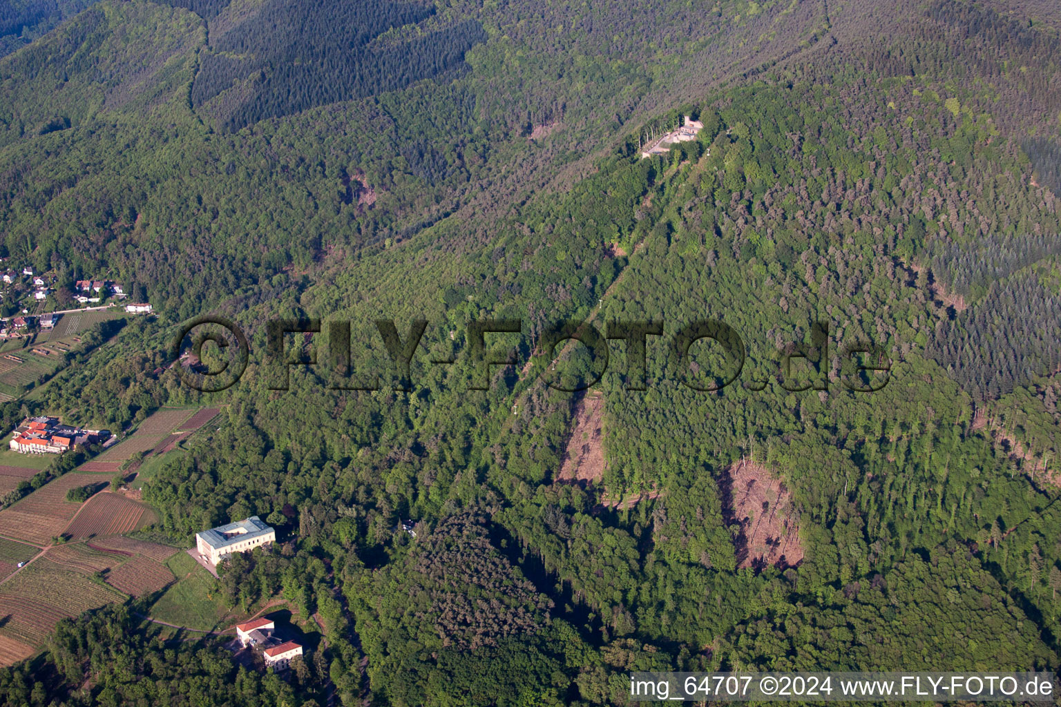 Rhodt unter Rietburg dans le département Rhénanie-Palatinat, Allemagne depuis l'avion