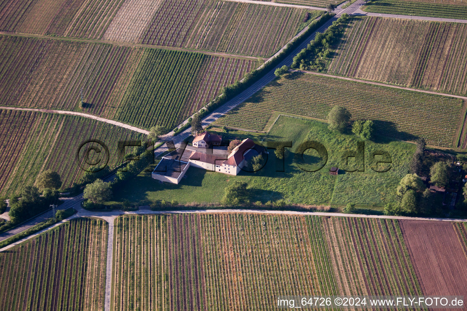 Gleisweiler dans le département Rhénanie-Palatinat, Allemagne depuis l'avion