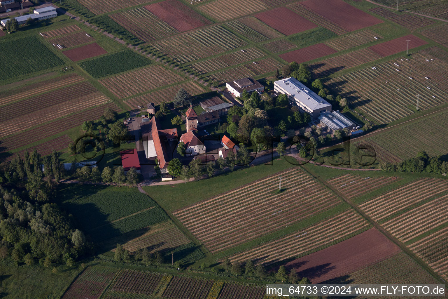 Vue aérienne de Institut de Recherche sur la Vigne à Siebeldingen dans le département Rhénanie-Palatinat, Allemagne