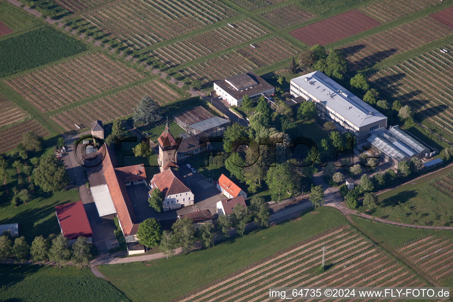 Photographie aérienne de Institut de Recherche sur la Vigne à Siebeldingen dans le département Rhénanie-Palatinat, Allemagne