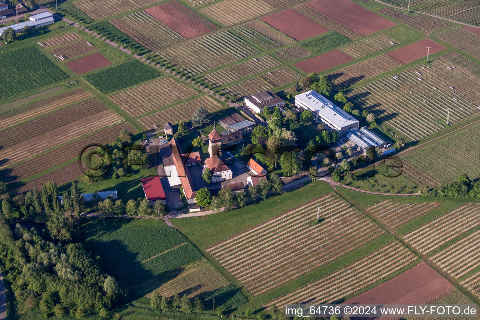 Vue oblique de Ensemble immobilier de l'Institut Julius Kühn Rebforschungsanstalt Geilweilerhof à Siebeldingen dans le département Rhénanie-Palatinat, Allemagne