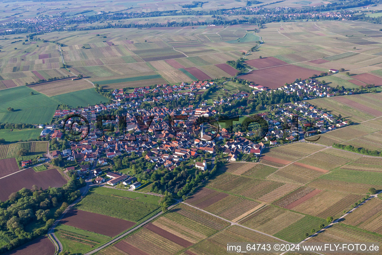 Vue aérienne de Quartier Wollmesheim in Landau in der Pfalz dans le département Rhénanie-Palatinat, Allemagne