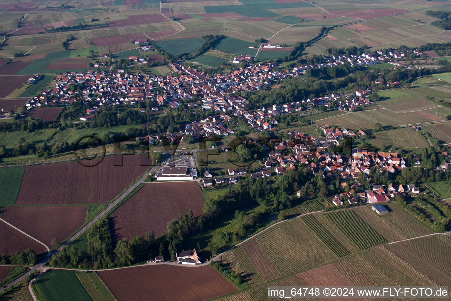 Quartier Ingenheim in Billigheim-Ingenheim dans le département Rhénanie-Palatinat, Allemagne vu d'un drone